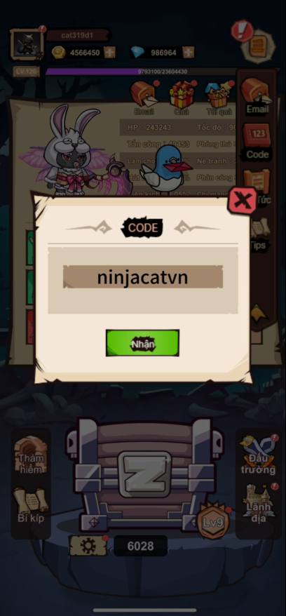 Các bước nhập Code Ninja Cat3